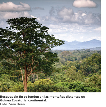 Bosques sin fin se funden en las montañas distantes en Guinea Ecuatorial continental. (Foto: Sam Dean)