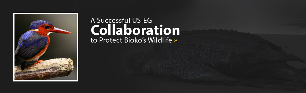 A Successful US-EG Collaboration to Protect Bioko's Wildlife