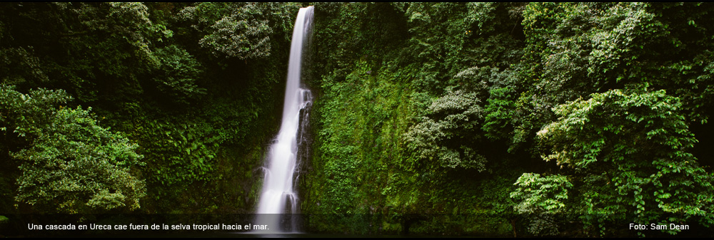 Una cascada en Ureca cae fuera de la selva tropical hacia el mar.