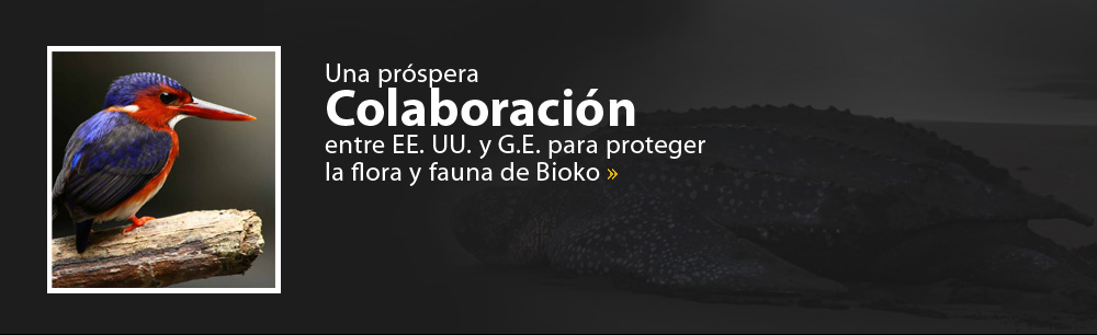 Una próspera Colaboración entre EE. UU. y G.E. para proteger la flora y fauna de Bioko